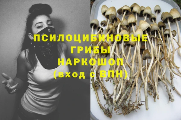 ПСИЛОЦИБИНОВЫЕ ГРИБЫ Арсеньев