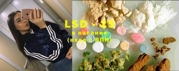 ПСИЛОЦИБИНОВЫЕ ГРИБЫ Арсеньев