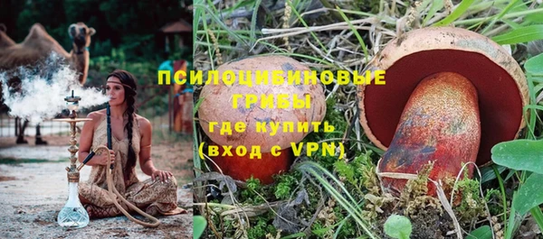ПСИЛОЦИБИНОВЫЕ ГРИБЫ Арсеньев