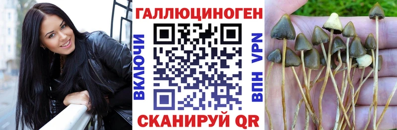 Галлюциногенные грибы Magic Shrooms  Тамбов 