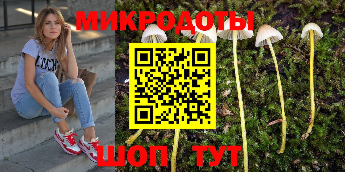 Галлюциногенные грибы Psilocybe Тамбов
