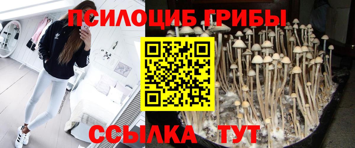 Псилоцибиновые грибы GOLDEN TEACHER  Вход с VPN  Тамбов 